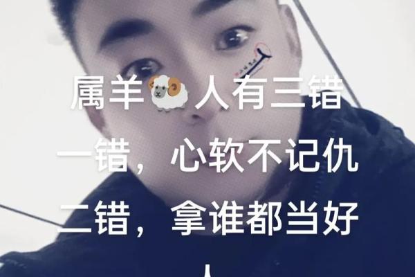 ‌错落有致是什么生肖 → 羊（羊群错落，山致有序）‌