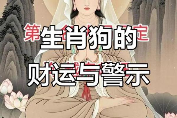 属狗2021年运势及运程每月运程 生肖狗今年每月运势