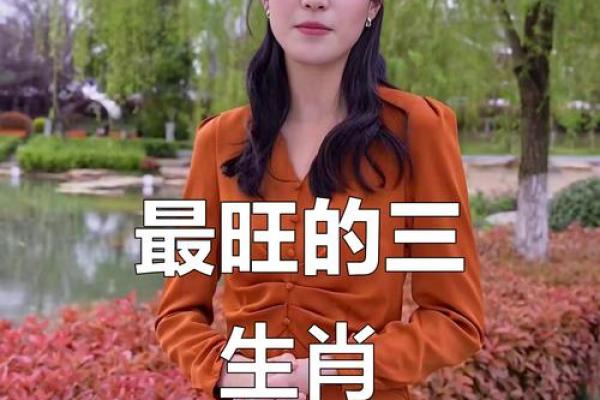 今晚最旺的三大生肖是什么 今晚最旺的三大生肖是什么呢 今晚最旺的三大生肖是什么 今晚最旺的三大生肖是什么呢