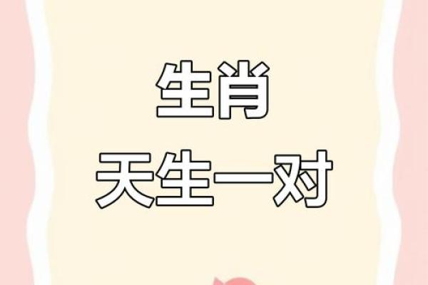 免费婚姻八字配对测试：看看你和TA的生肖是否天生一对