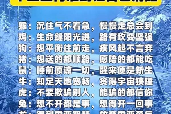从生肖性格分析来看，秀外慧中指的是哪一个生肖的最佳代表？
