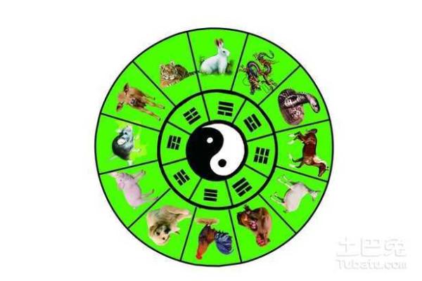 五雷轰顶打一生肖的谜底解析，具体指的是哪个生肖动物？
