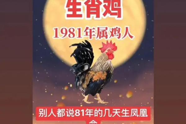 81年属什么的生肖配对 81年属什么的生肖配对85