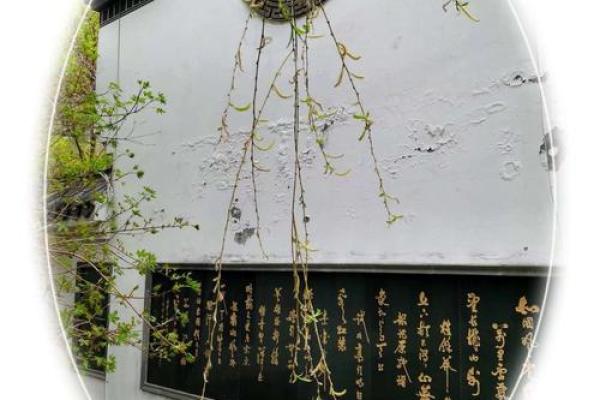 五里云雾(五里云雾打一最佳生肖)