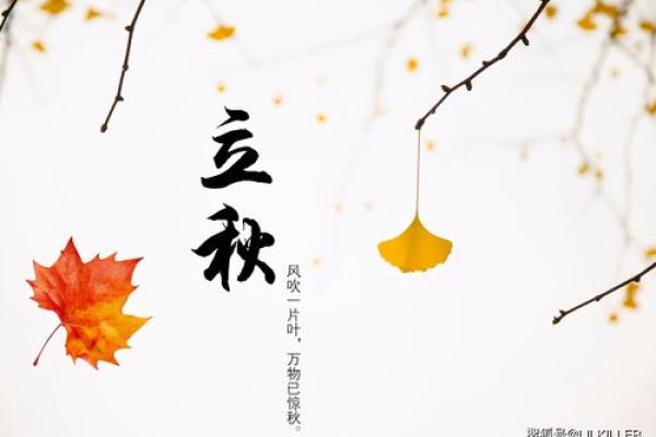 过耳秋风指的是哪个生肖？具体有什么典故和说法？