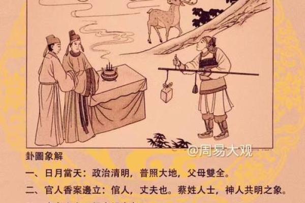 无孔不入打一个生肖(无孔不入打一个生肖是什么)