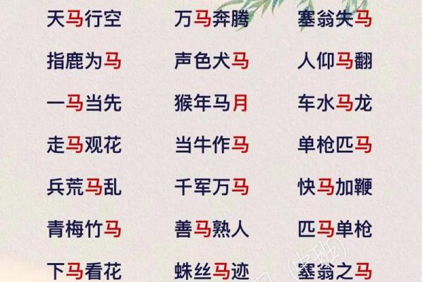 成语坚壁清野”所蕴含的生肖智慧与历史典故深度解析