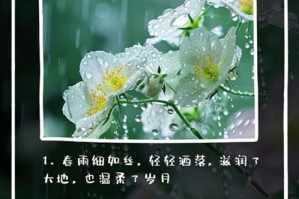 春雨如丝猜一生肖(春雨如丝什么意思)