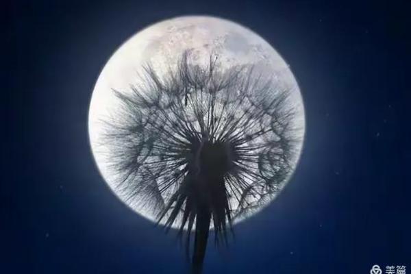 请问十二生肖中哪个动物最符合口若悬河能言善辩的特征？
