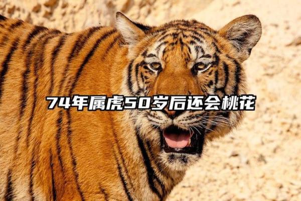 74岁属什么生肖,是哪一年 74岁属什么生肖是什么命