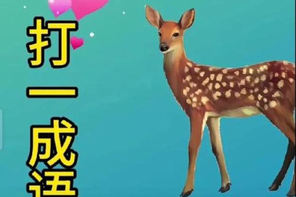 北门南牙是什么动物？着个成语背后的典故和寓意解析
