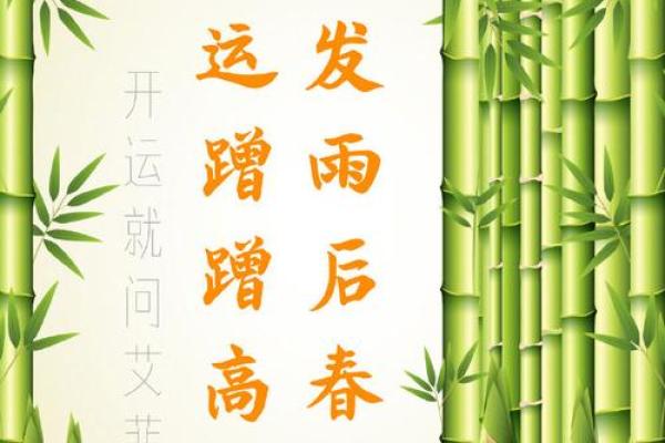 雨后春笋打一个生肖(雨后春笋打一生肖是什么)