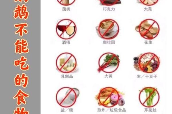 什么球不能踢打一生肖 你知道什么球不能踢