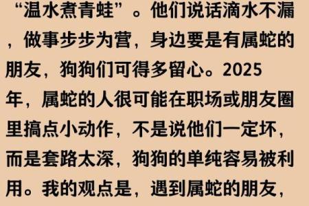 妈妈属狗孩子属蛇合不合 妈妈属狗孩子属狗