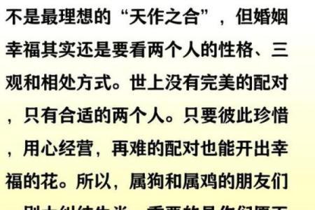 男狗和女鸡的属相合不合 男狗和女鸡的属相合不合婚姻