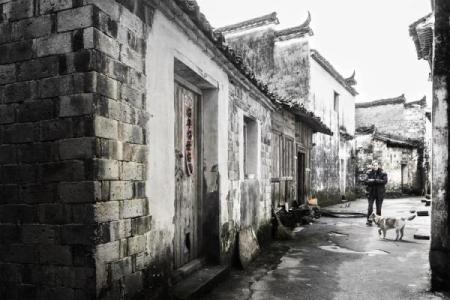 乡土难离什么生肖