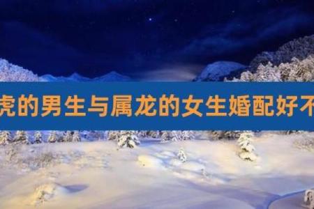 属相龙和虎 属相龙和虎婚配怎么样