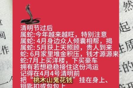 属蛇的不能和属什么的一起 属蛇不可以和什么生肖