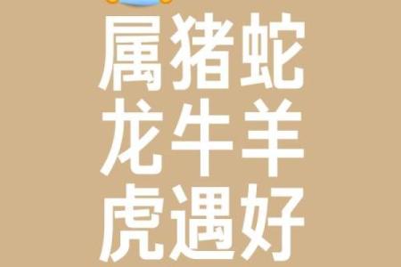 属猪和属虎的做生意合不合财 猪和虎在一起旺谁