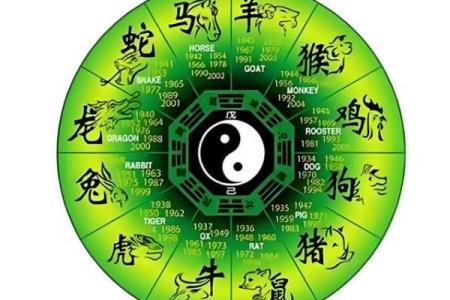 家里不能同时出现的三个属相(为什么家里不能)