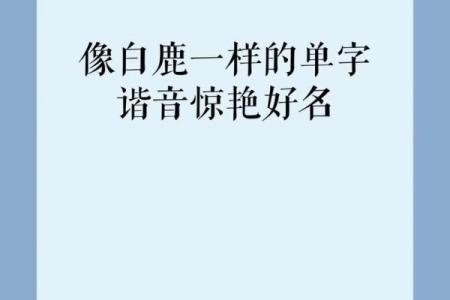属蛇不能用的字 属蛇不能用的字取名