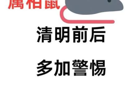 身无分文是什么生肖 → 鼠‌（鼠窃狗偷，常无分文）
