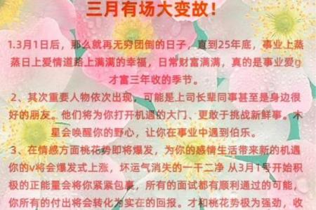 1982年属狗的人2025年运势详解，财运事业健康全解析