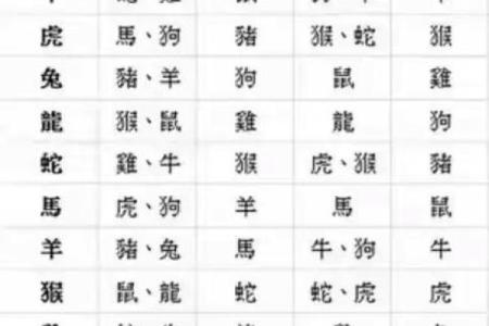 子午相冲在生肖配对中具体会产生什么影响和后果？