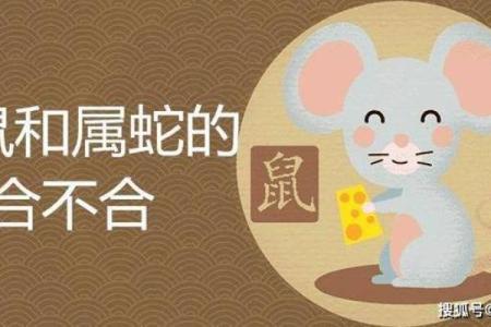 鼠和蛇的属相合不合 鼠和兔的属相合不合