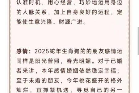 神机妙算开过什么生肖最新最准的预测结果哪里能查到？