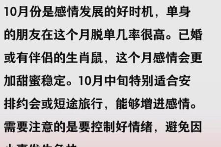 2025年属鼠人全年运势如何？每月运程解析与得把眼睛擦亮了