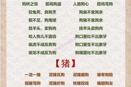 名列前茅打一生肖是什么，着个成语代表哪个生肖动物？