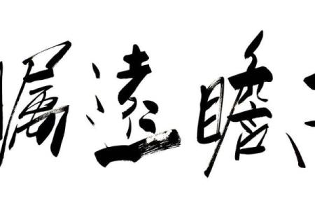 高瞻远瞩着个成语最适合用来形容哪个生肖的性格特点？