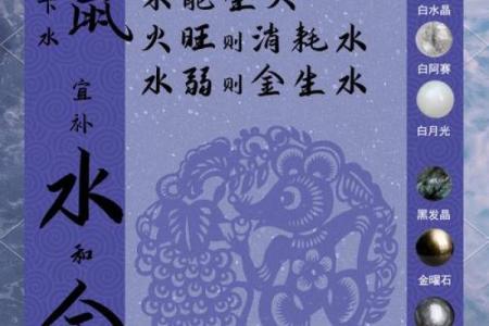 2025年属鼠的人在不同年份出生具体年龄计算指南
