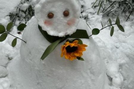 雪人是指什么生肖