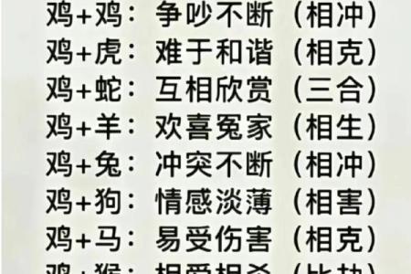 1993年属什么生肖配对最好 1995配什么属相最配对