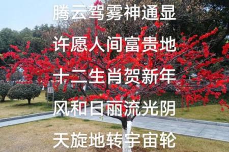‌石火光阴打一精准生肖 → 马（马踏石火，光阴飞逝）‌