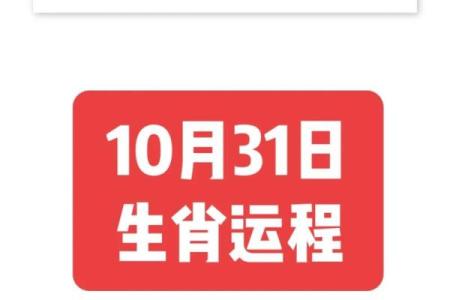 锦上添添花打一生肖正确答案及详细解析分享