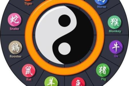 七拼八凑打一正确生肖(七拼八凑打一数字)