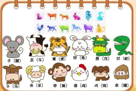 属相是怎么划分的 属相是怎么排列的