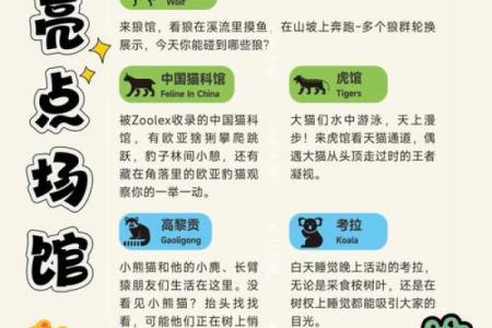 如何区分红脸赤颈动物与其他相似物种？完整指南