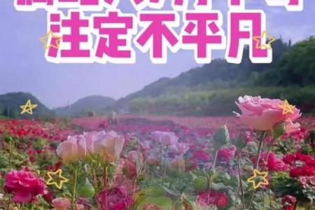 属蛇最忌三种花 属蛇的人什么花可以带来好运