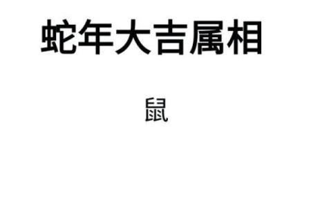 生肖属鼠今日运势详解事业财运健康感情全方位解析