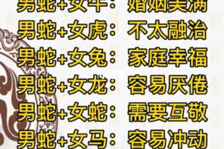 鸡女和男蛇的属相合不合 鸡女和蛇男的婚姻状况