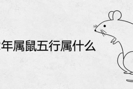 1972年属鼠的人是什么命？五行属性详解与一生命运解析