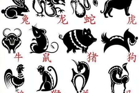 双双对对走出来猜一肖 双双对对走出来打一正确生肖