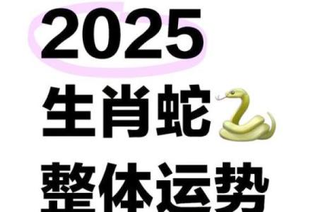 出生于1977年属蛇人2025年多少岁了 1977年属蛇人2025年运势如何...