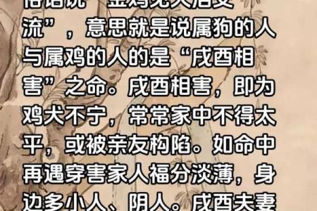 男鸡女狗结婚会幸福吗？属相配对真的影响婚姻吗？
