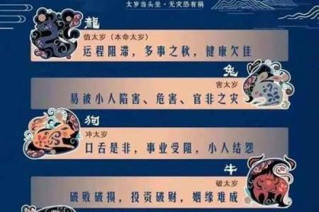 鼠年犯太岁四个生肖,属鼠的人今年犯太岁吗