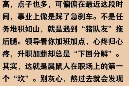 1984年属鼠人2025年事业财运健康感情全面解析